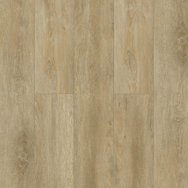  Tulesna Ottimo SPC 1004-16 Flori 4V