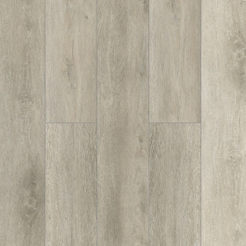  Tulesna Ottimo SPC 1004-19 Nuovo 4V