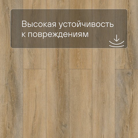 Planker EXCEED Дуб Зенит 6012 (фото 8)