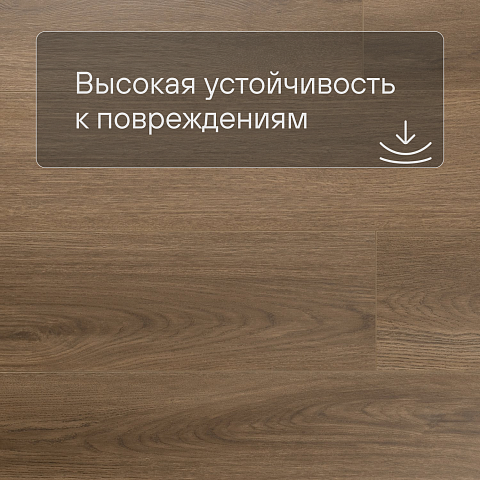 My Step Stone MS8408 Ламинат Дуб Бромо 8 мм класс 33/АС5 с фаской (фото 5)