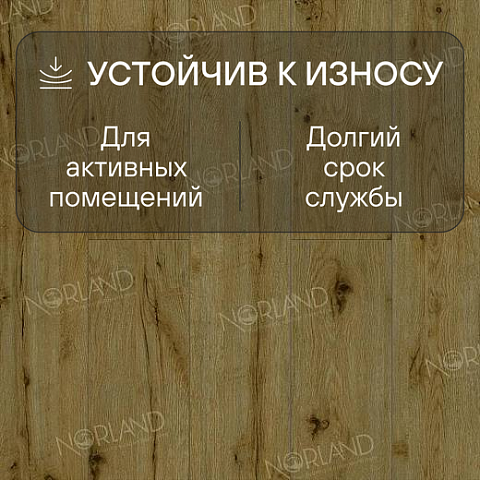 Norland Elegant 8 4V 33 (CH) LF301-14 Дуб Скай (фото 3)