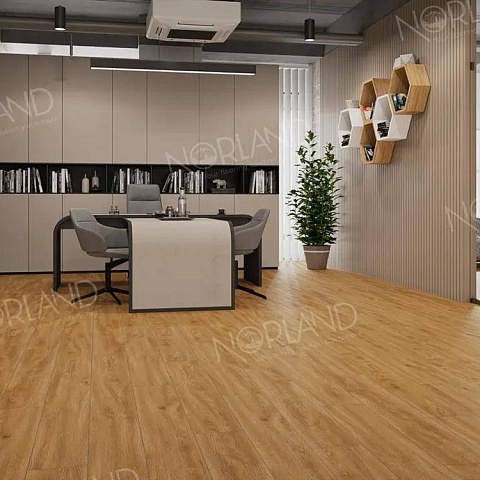 Norland Elegant 8 4V 33 (CH) LF301-10 Дуб Хонсю (фото 9)