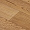 Premium Falco 2_1159 (миниатюра фото 13)
