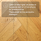 DW FLOORING Елка Английская 14 мм Дуб золотистый светлый DW 301U лак матовый с фаской (миниатюра фото 5)