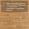 Premium Falco 2_1159 (миниатюра фото 12)