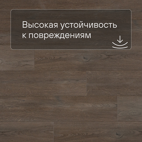 QS SPC Atmosphere ASPC 20244 Дуб коричневый (фото 5)
