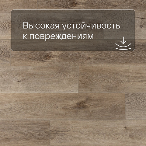 Alpine Floor ABA Premium XL ЕСО 7-5 Дуб Натуральный Отбеленный 4V 43кл (фото 5)