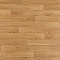 Premium AS Falco 2_1159 (миниатюра фото 1)