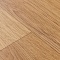 Premium Falco 2_1159 (миниатюра фото 10)